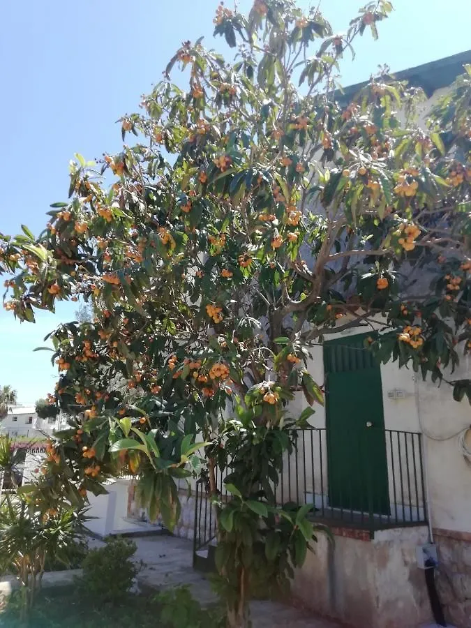 Villa Serrano Palermo